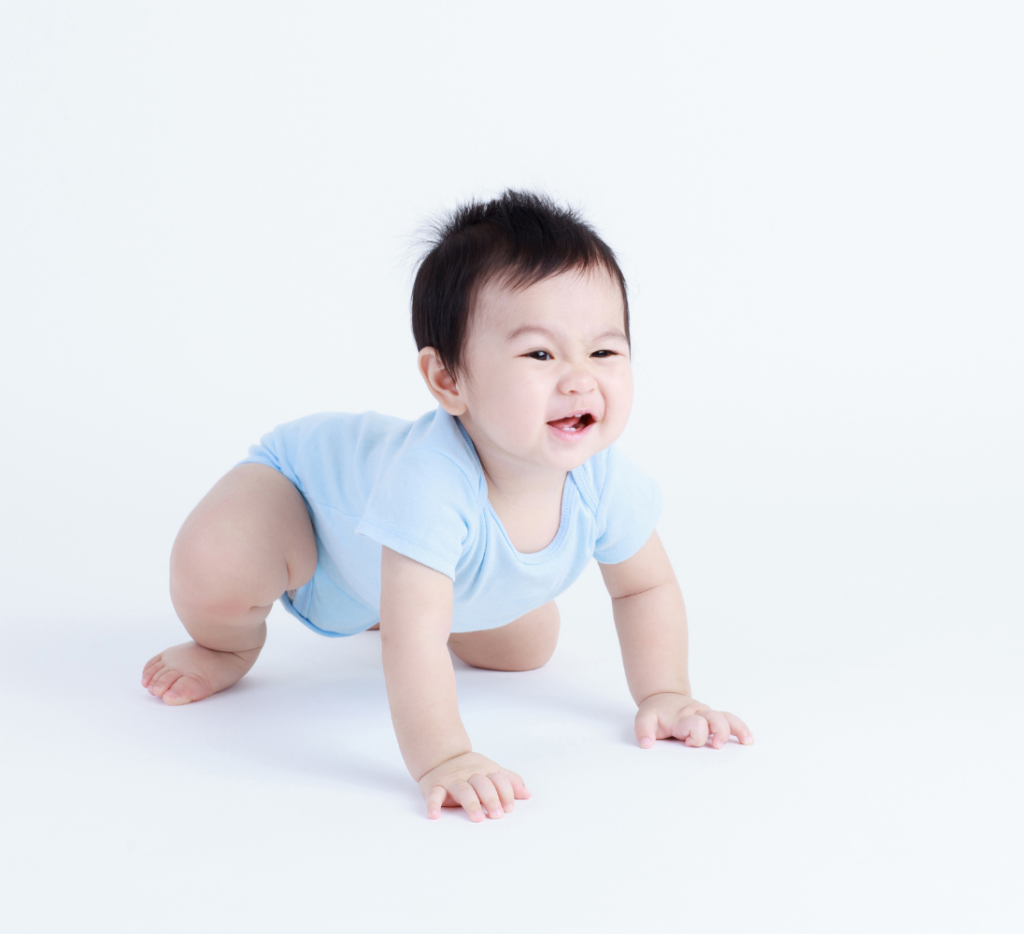 baby crawling on a white background